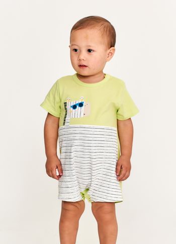 62563_pimpao_zebrinhas--2-