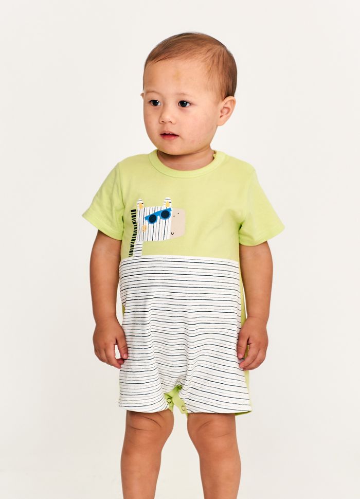 62563_pimpao_zebrinhas--2-