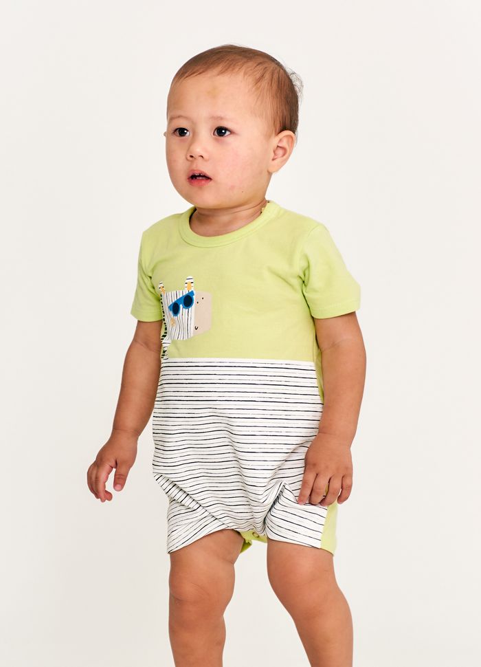 62563_pimpao_zebrinhas--3-